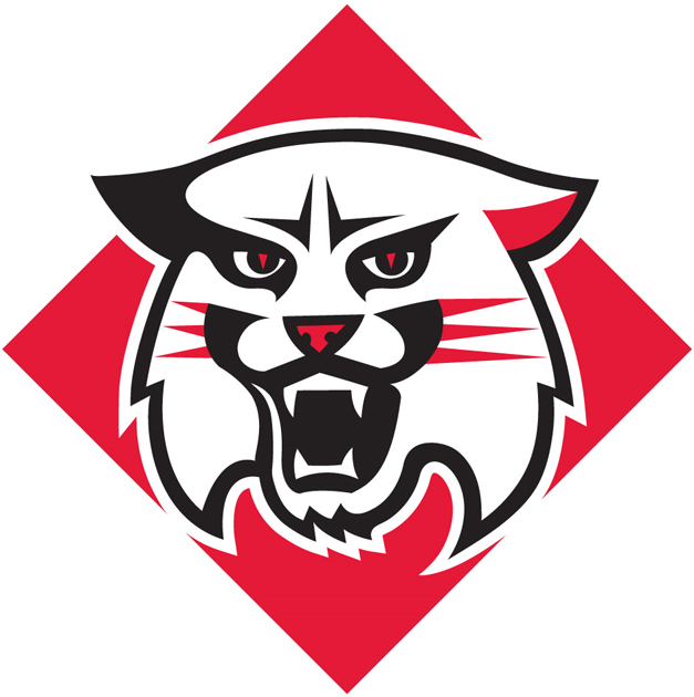 Davidson Wildcats transfer